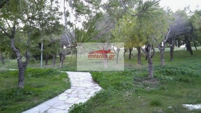 (For Sale) Residential Detached house || Athens South/Alimos - 240 Sq.m, 3 Bedrooms, 690.000€ 